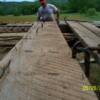 Plank from hay loft (note the saw blade marks)